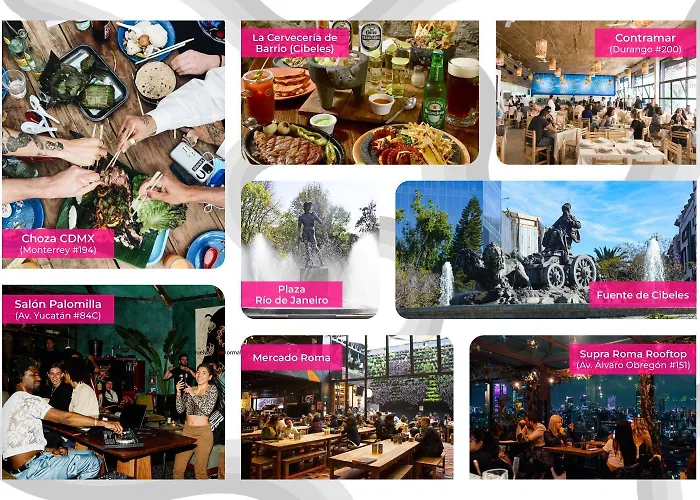 Uliv Roma Norte